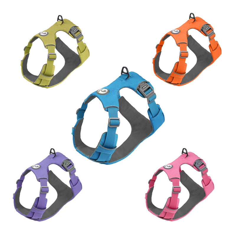 🐾 Starbind Multiverse Harness & Leashes