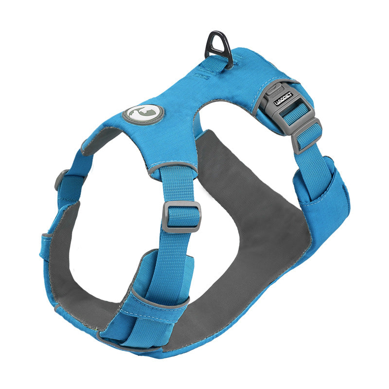 🐾 Starbind Multiverse Harness & Leashes