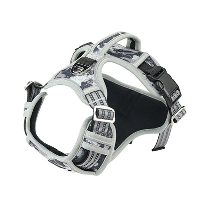 🚀 STORMRIDER MULTIVERSE GUARDIAN HARNESS