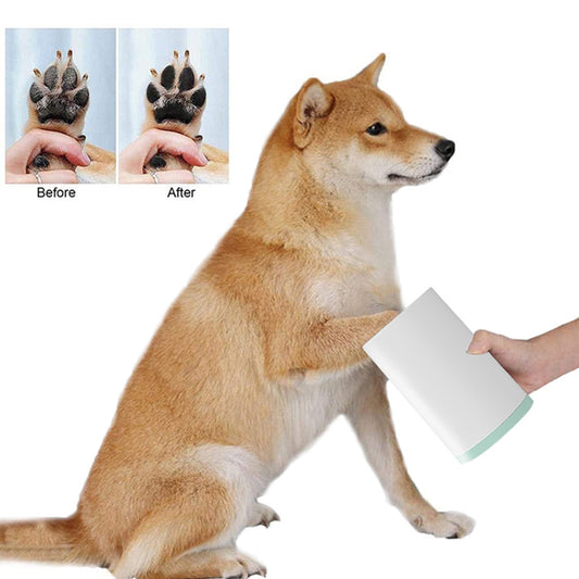 🐾 Starstep Multiverse Purifier